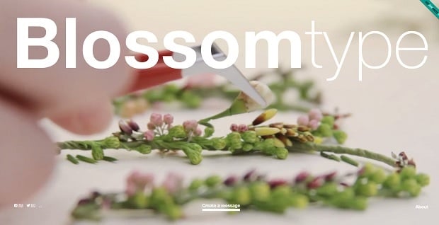 Blossomtype